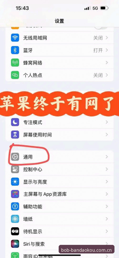 3个关键步骤破解“开启上网第一页”的使用误区——半岛入口BOB数据站推荐实操指南